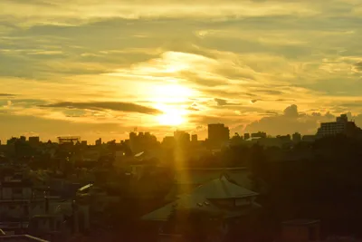 DSC_3806 (Large).JPG